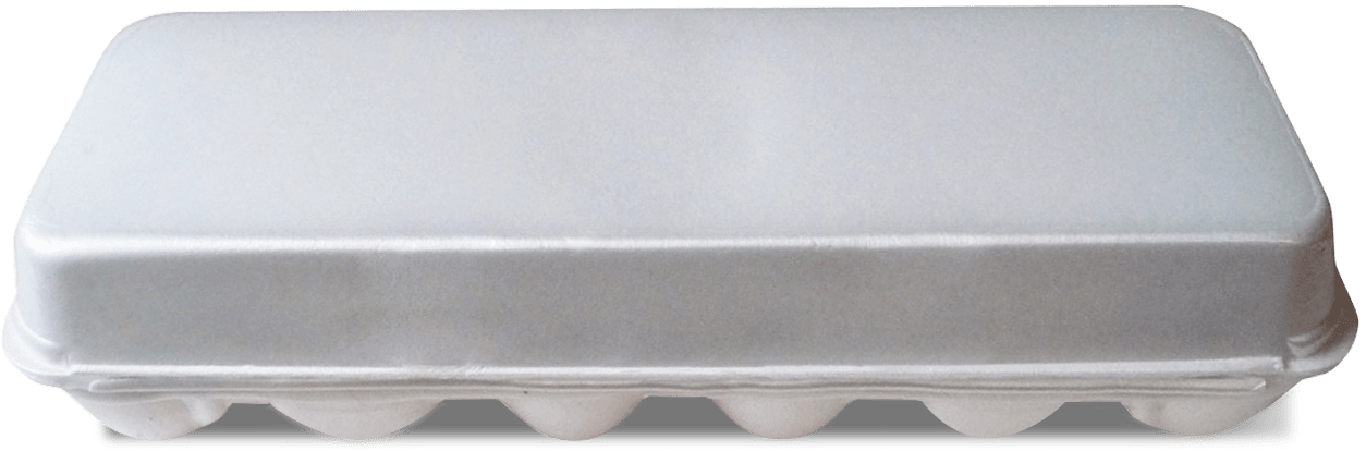 Plastic Egg Carton