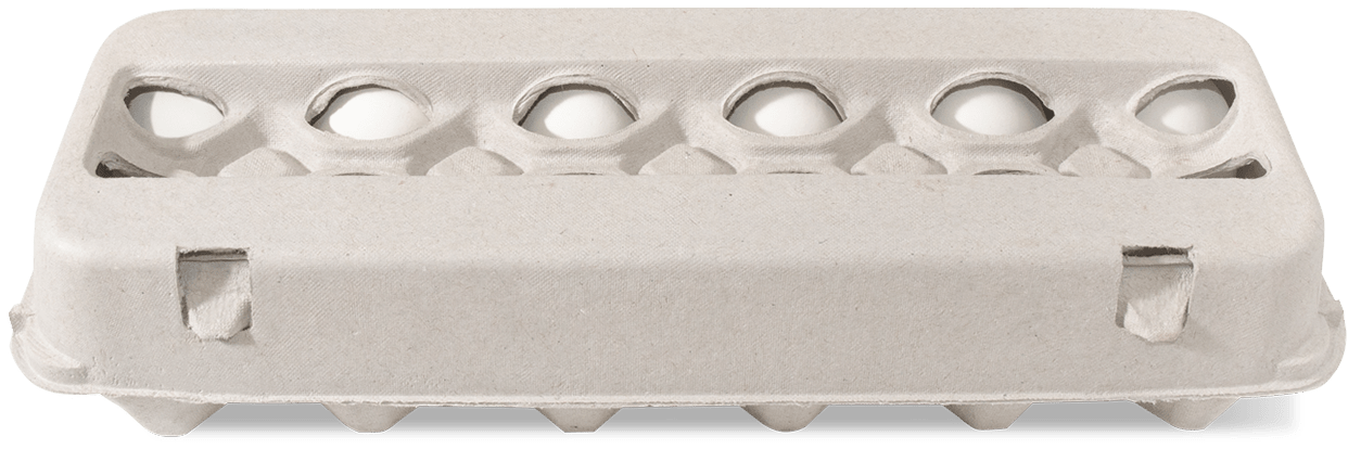 Plastic Egg Carton